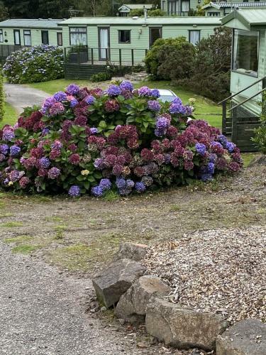 Apartamento Beautiful Caravan - Kippford, Dalbeattie