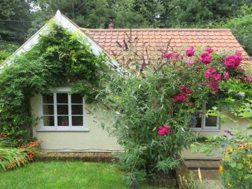 Apartamento Stream Cottage, 450 Year Old Thatched Cottage