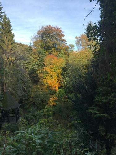 Apartamento Millhill St Dunfermline