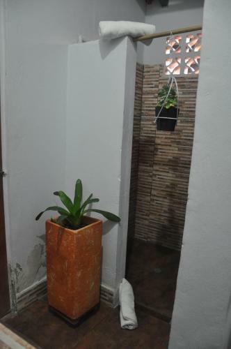Hostal Mangalobby Finca Hotel