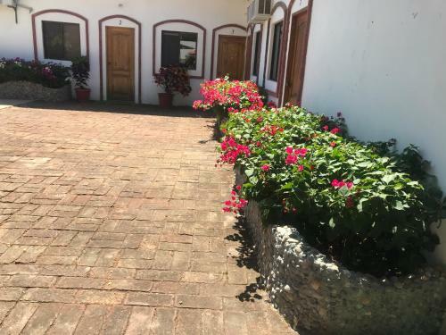 Hostal Casa Blue Tortuga