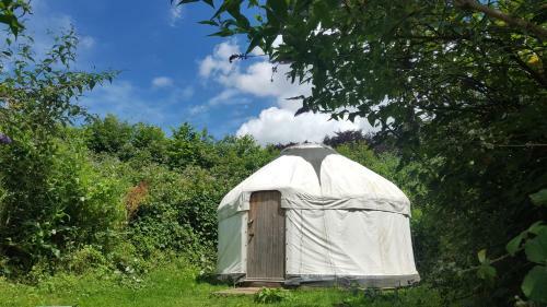 Hotel South Downs Eco Lodge & Camping