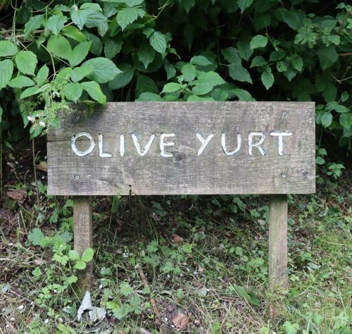 Hotel South Downs Eco Lodge & Camping