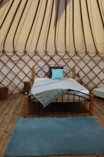 Hotel South Downs Eco Lodge & Camping