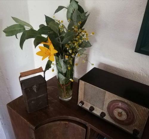 Villa Gabita