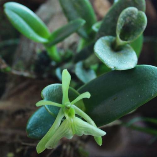 Casa De Campo En Rioja