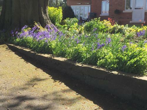 Crossways Self-catering Cottage - Self Contained