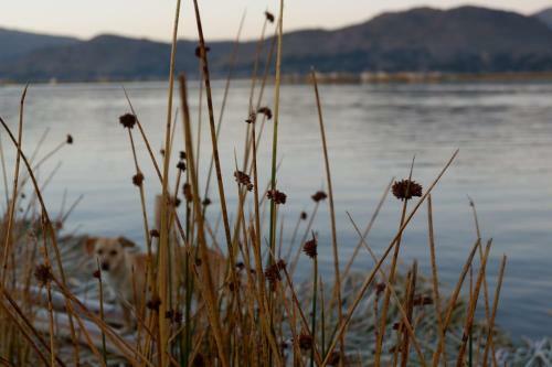 Agroturismo Quechua Lodge Titicaca