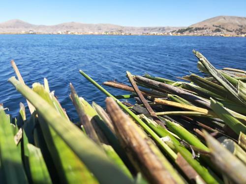 Agroturismo Quechua Lodge Titicaca