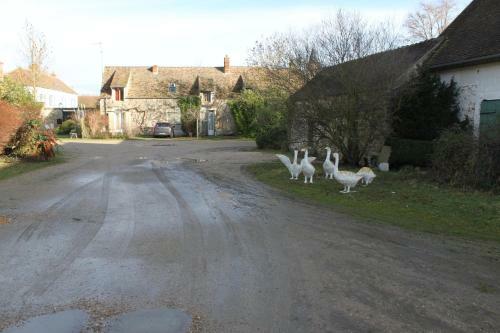 Bed & Breakfast A La Ferme De La Joie - Chambres D'h�tes