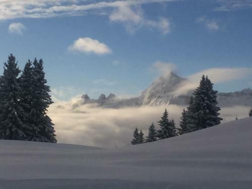 Hotel Le Caprice Des Neiges H�tels-chalets De Tradition