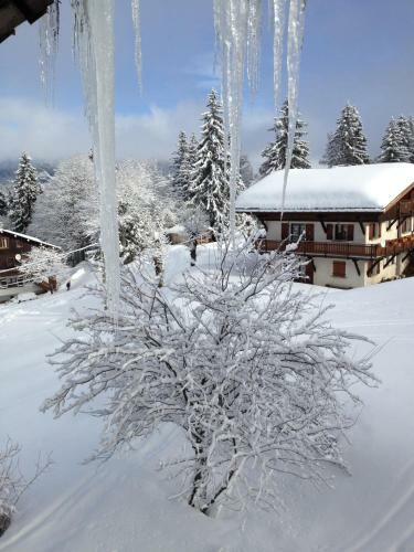Hotel Le Caprice Des Neiges H�tels-chalets De Tradition