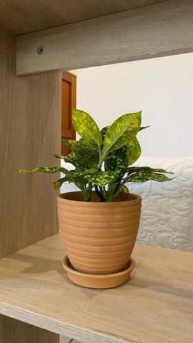 Apartamento Duplex El Dorado San Andres- Victor Larco