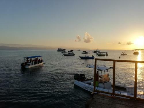 Hostal Sur� House Corcovado