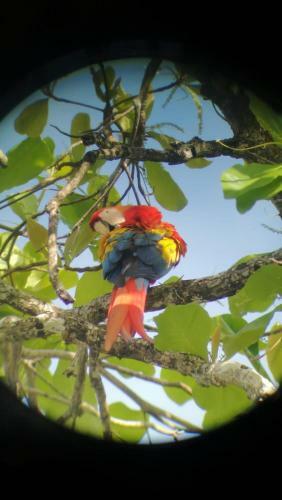 Hostal Sur� House Corcovado