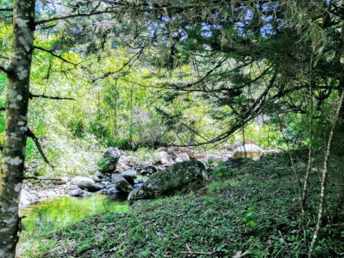 Caba�a Treehouse Mountain View