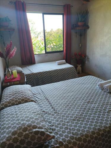 Casa De Monta�a Amapola