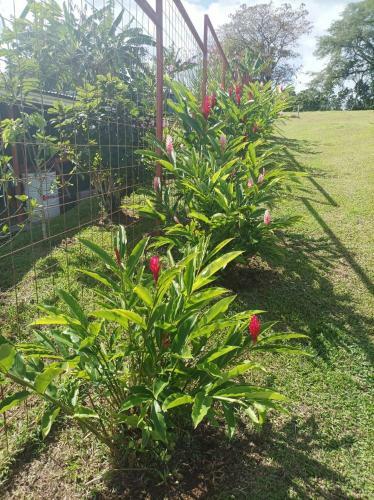 Casa De Monta�a Amapola