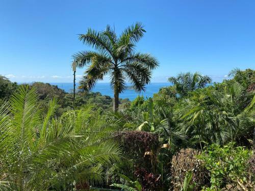 Hotel Villa Roca-adult Only! Lgbtiq