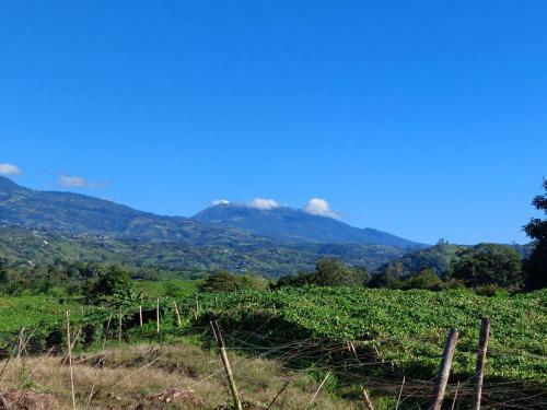 Perfect Rural Getaway Destination. Wi-fi