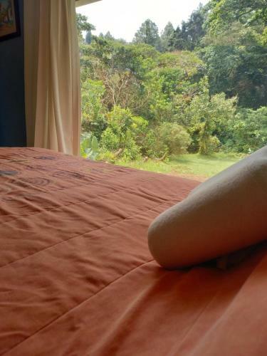 Bed & Breakfast Suite Y Loft Casa Tor�a