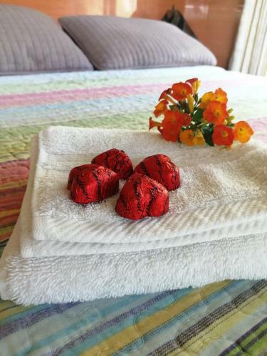 Bed & Breakfast Suite Y Loft Casa Tor�a
