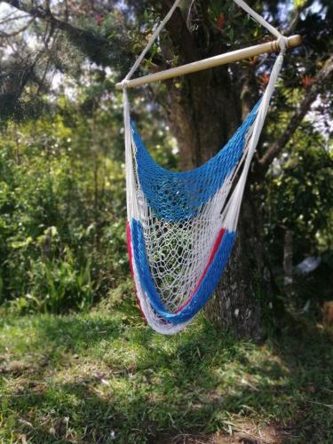 Bed & Breakfast Suite Y Loft Casa Tor�a