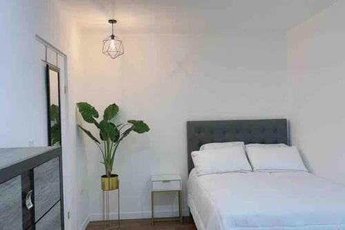 Villa Cipresso Deluxe