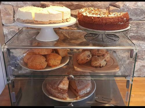 Posada Bird In Bush Elsdon