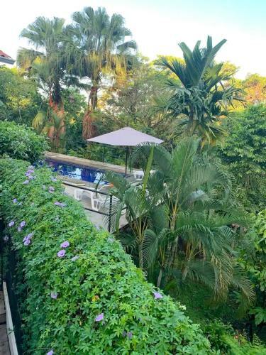Hostal Villa Tekla