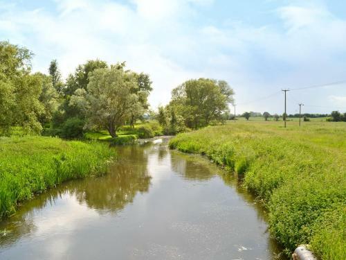 Watermeadow