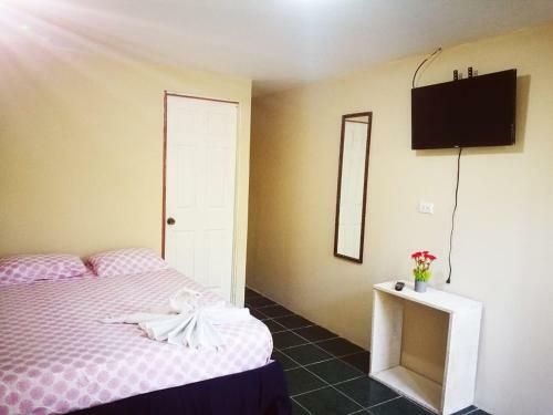 Hostal Apartamentos Morpho Cr