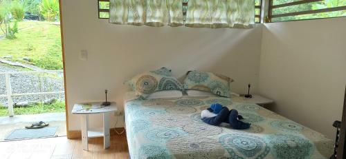 Hostal Selva Linda Lodge