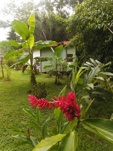 Hostal Selva Linda Lodge