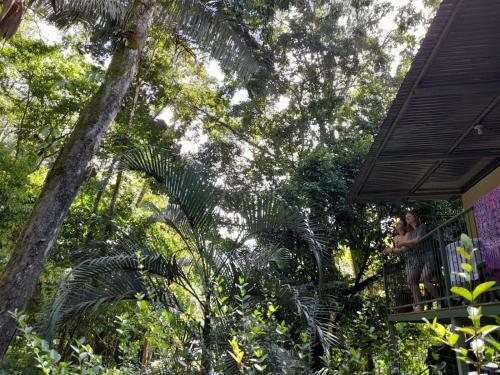 Apartamento Casa Escondida #1 ( Jungle View )