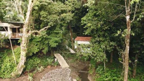 Apartamento Casa Escondida #1 ( Jungle View )