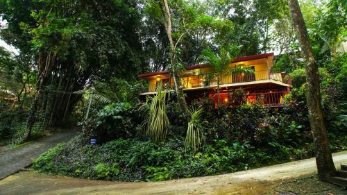 Bali Inspired Casa Cascada W Jungle Views Wi-fi Private Pool AC
