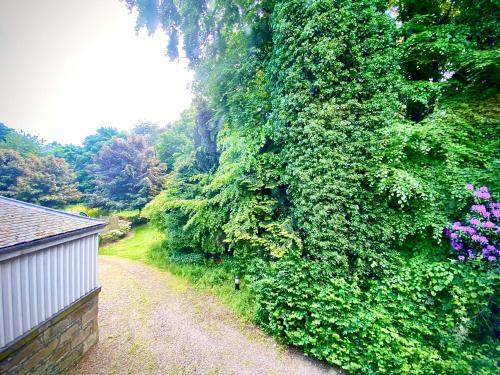 Treetops Apartment - Lesmurdie House
