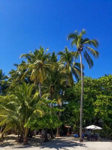 Bed & Breakfast Macao Beach