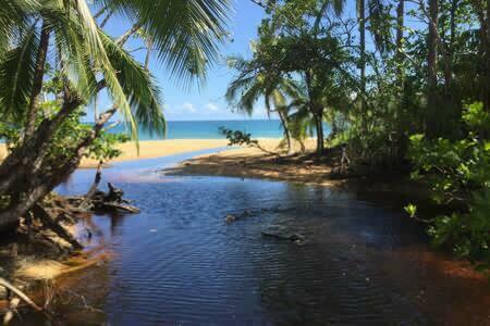 Abracadabra Bluff Beach