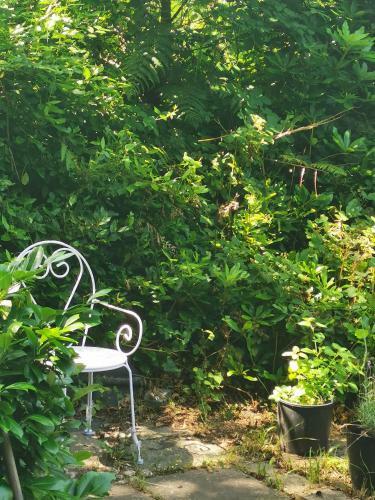 Peaceful Retreat Hideaway Surrey