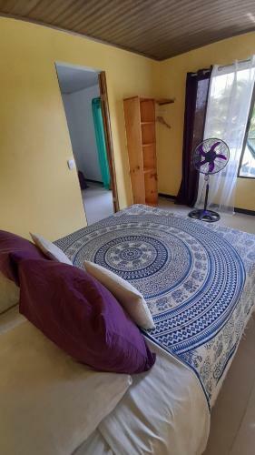 Apartamento Paraiso Tropical 2