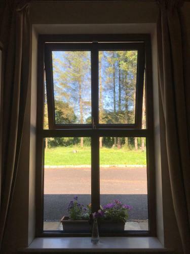 Apartamento Pigeon Brae Pet Friendly Accommodation Enniskillen