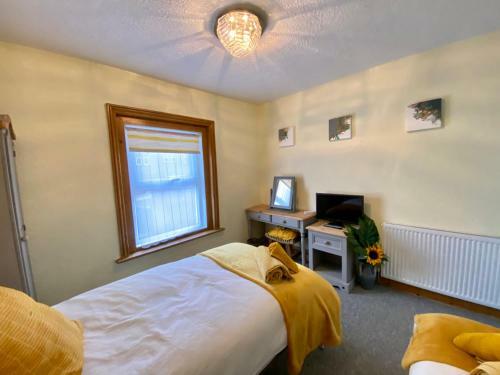 Beachcomber Holiday Lodge