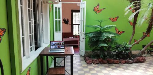 Posada Casa Mayela Guest House