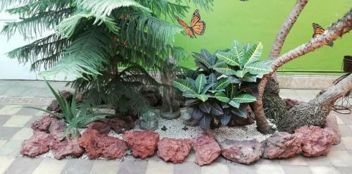 Posada Casa Mayela Guest House