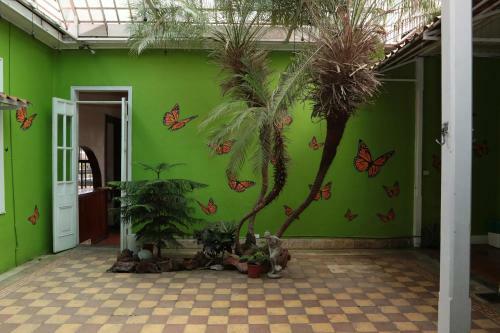 Posada Casa Mayela Guest House