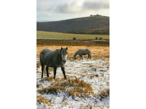 Pass The Keys Stunning, Spacious Farmhouse With Free Parking