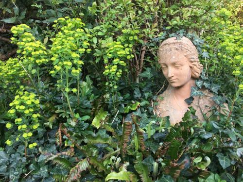 Secret Garden Cottage