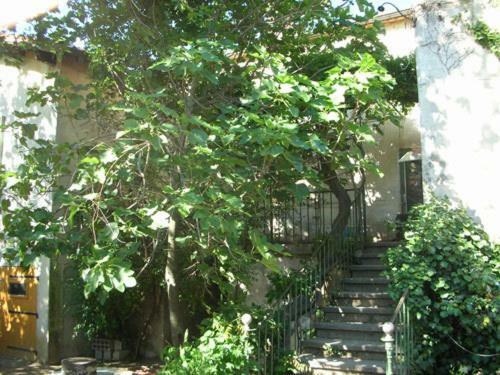 Hostal Domaine De Nidol�res
